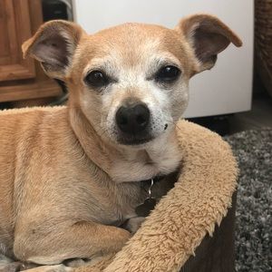 Meet your Posher, Kelsey